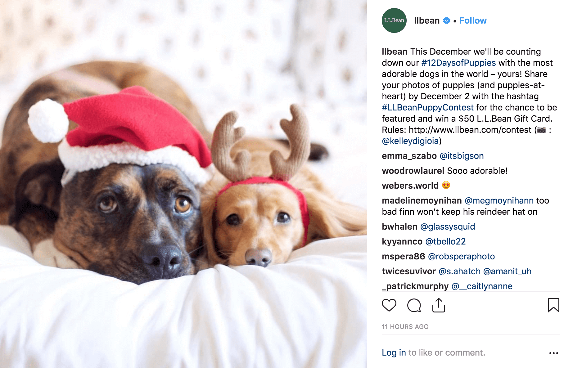 holiday marketing campaigns